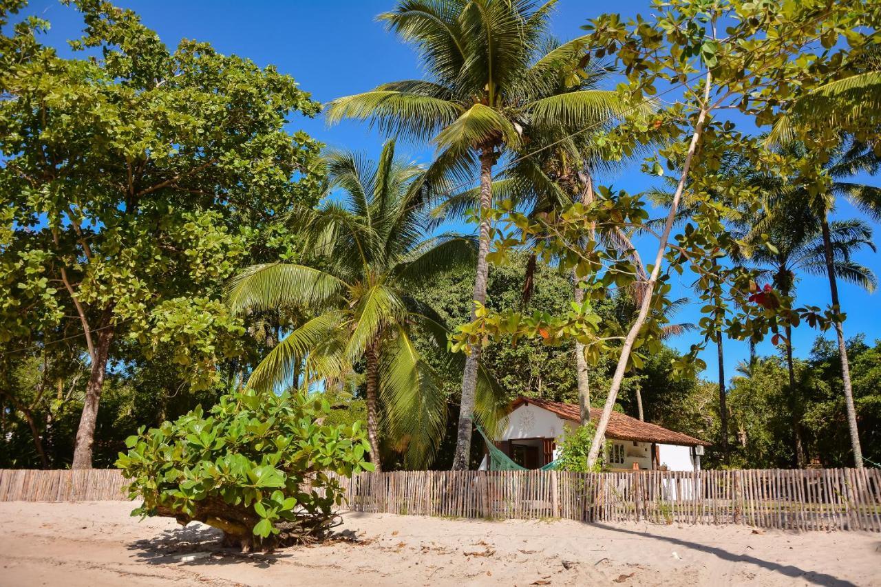 Palma Boipeba