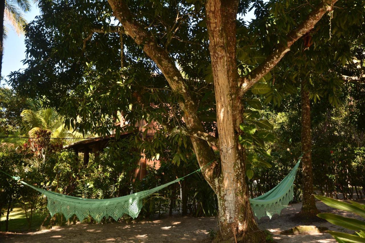 Palma Boipeba