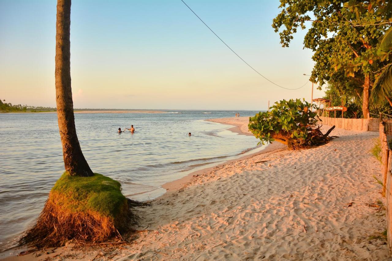 Palma Boipeba